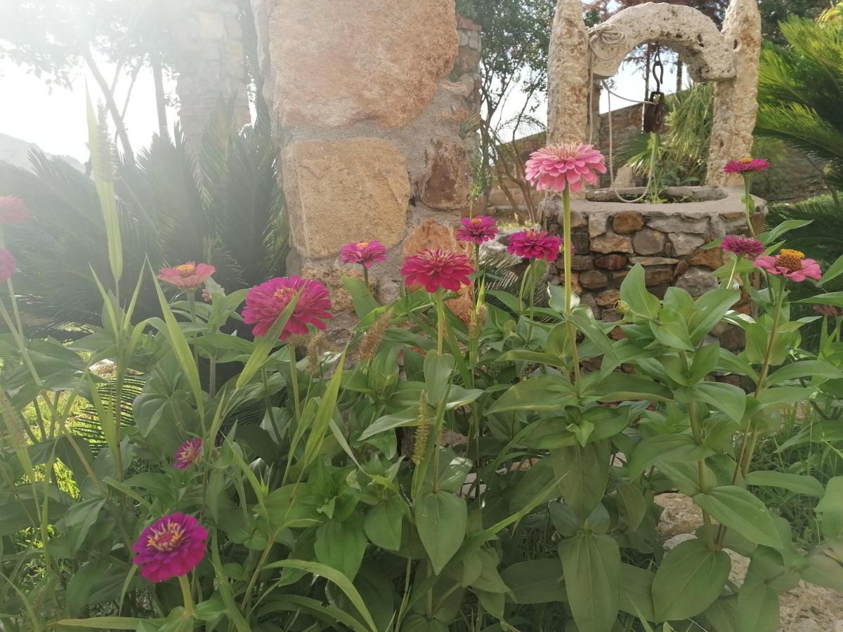 Villa Nonna Nina Capaci Luaran gambar