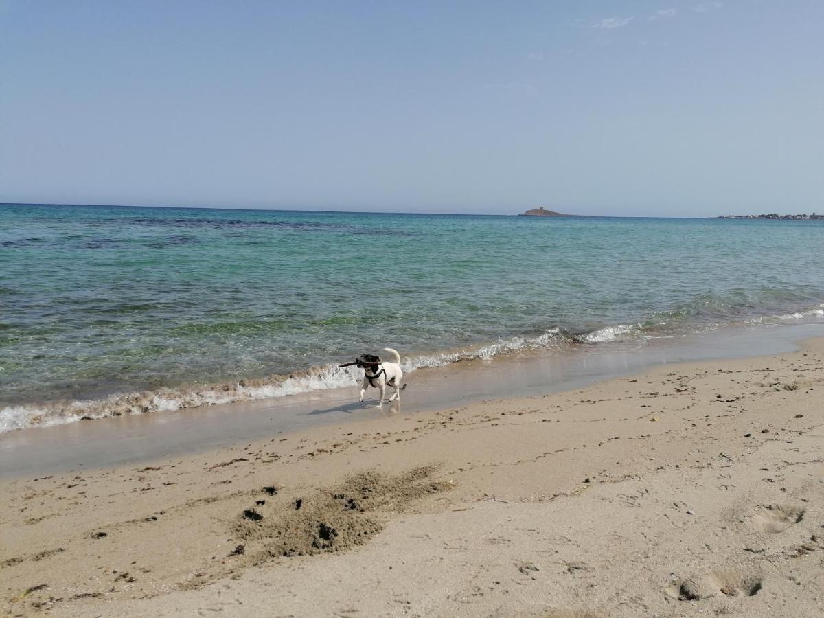 Villa Nonna Nina Capaci Luaran gambar
